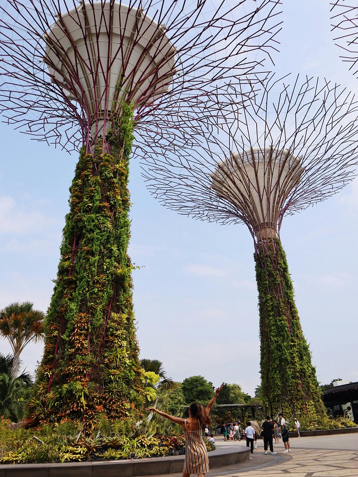 How to spend 24 hours in Singapore product image (1)