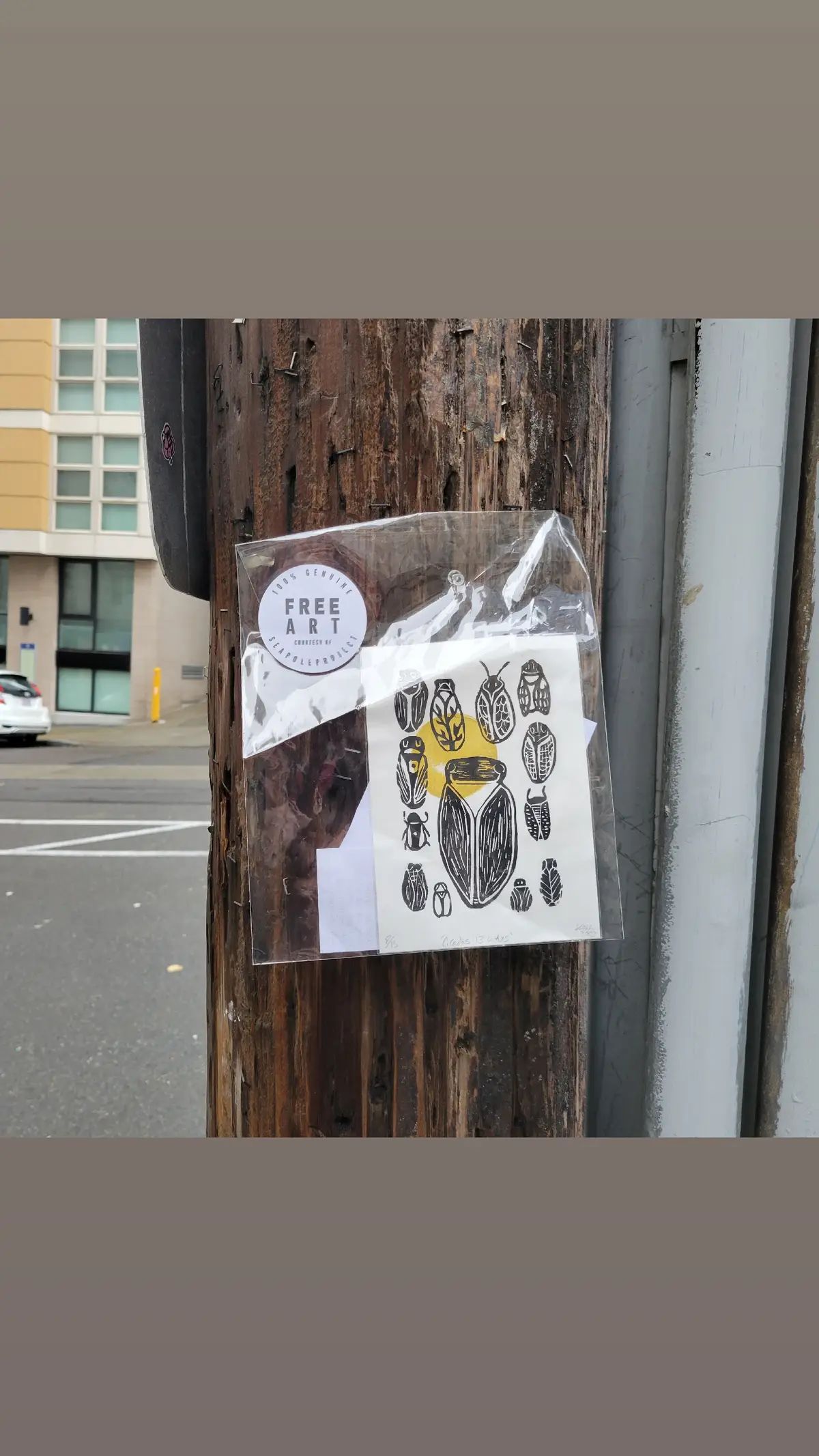 I put a free print out on Main Street S  #seapoleproject #linocut #freeart #seattlestreetart #freepublicart #cicadaart #freeartseattle #reliefprint #blockprint  #seattleart #freeartforthepeople #cicadas #freeartwork #strangeinnature #reliefprinted #handcarvedstamp #printlife #linocutprint #printisnotdead #linoleumprint #cicadas13ways 