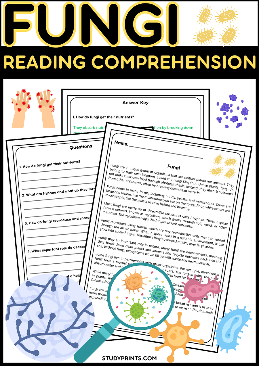 Fungi Reading Passage with Questions and Answer Key product image (1)