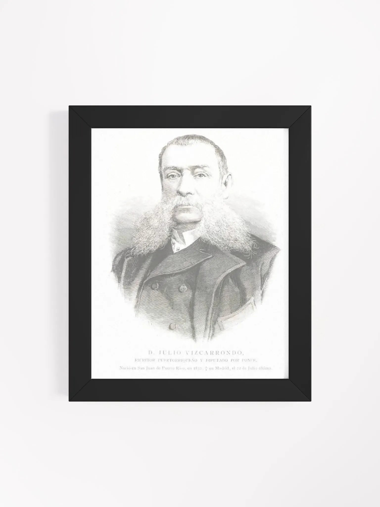 Cuadro - D. Julio C. Vizcarrondo y Coronado: Diputado Provincia de Puerto Rico product image (4)