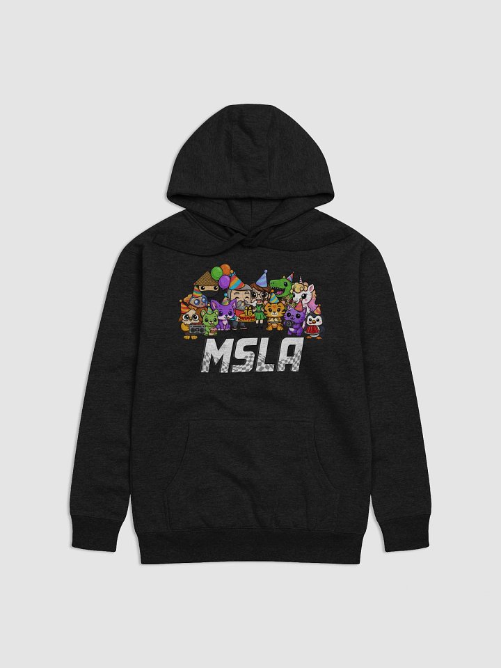 MSLA Sweet Sixteen - Hoodie product image (5)
