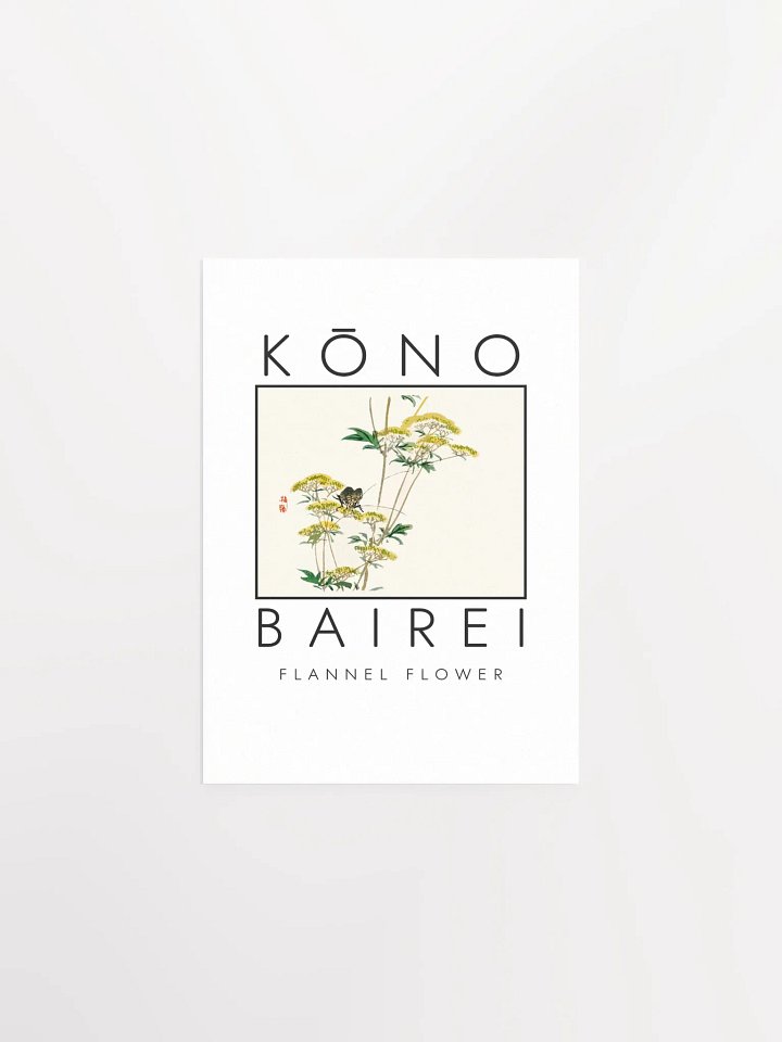 Kono Bairei Flannel Flower Poster product image (2)
