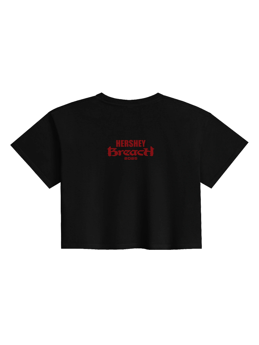 Breach Hersheypark Stadium Crop Top product image (2)