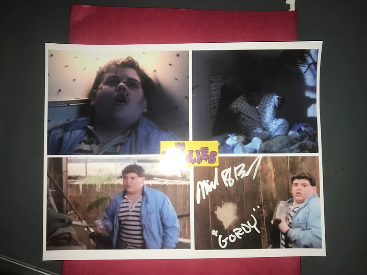 AUTOGRAPHED The Willies Gordy Belcher Anthology Snap Shots product image (1)