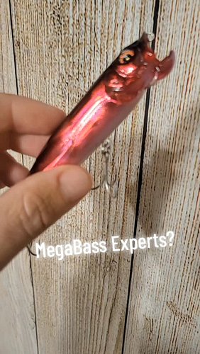 Thinking maybe GW Fire or IF Fire for this Megabass X-pod???