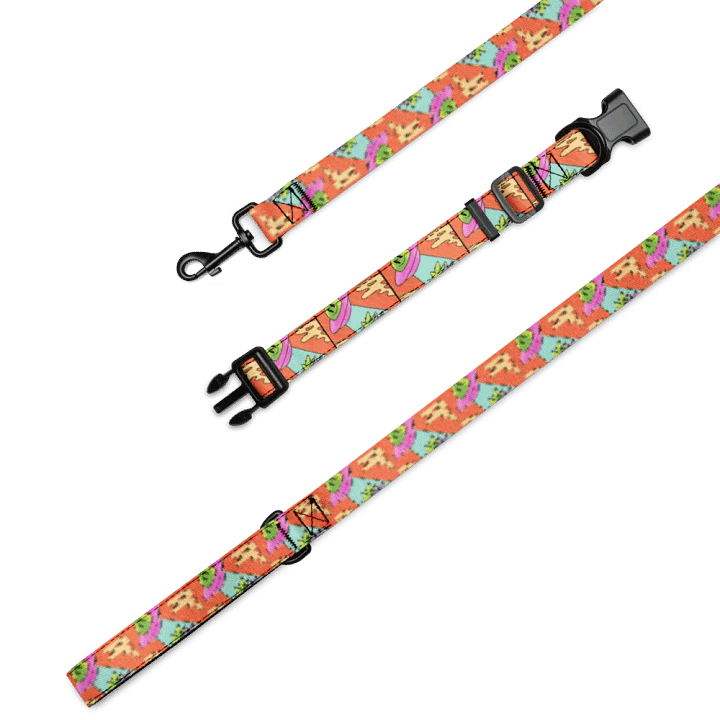 "High Flyer" Pet Collar & Leash Set product image (4)