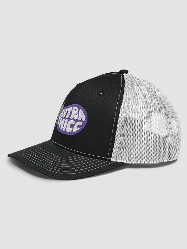 Extra Thicc - Hat product image (12)