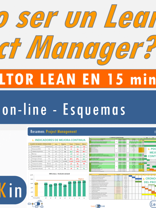¿Cómo ser un buen Consultor Lean? Las claves del Lean Project Management product image (1)