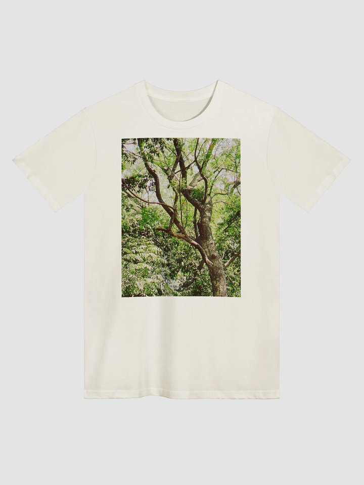 EARTH TONE DIVINE MUSIC TEE product image (1)