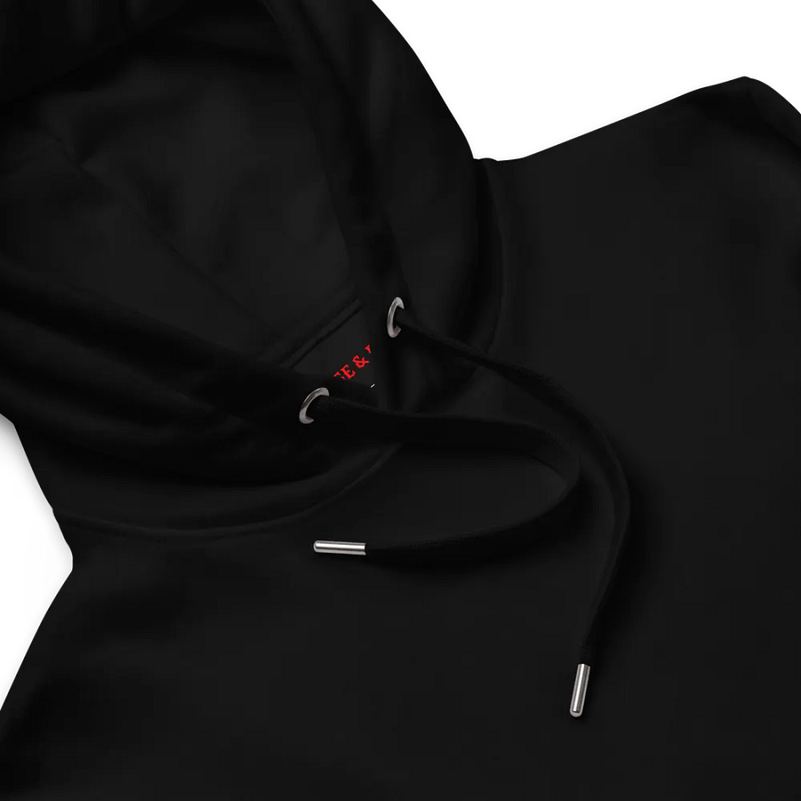 Courage & Co. Phoenix In Smog Hoodie product image (11)