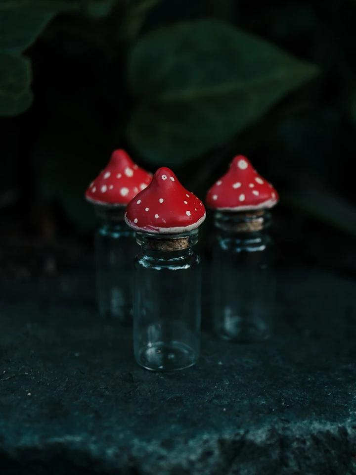 Mini Mushroom Bottle product image (1)