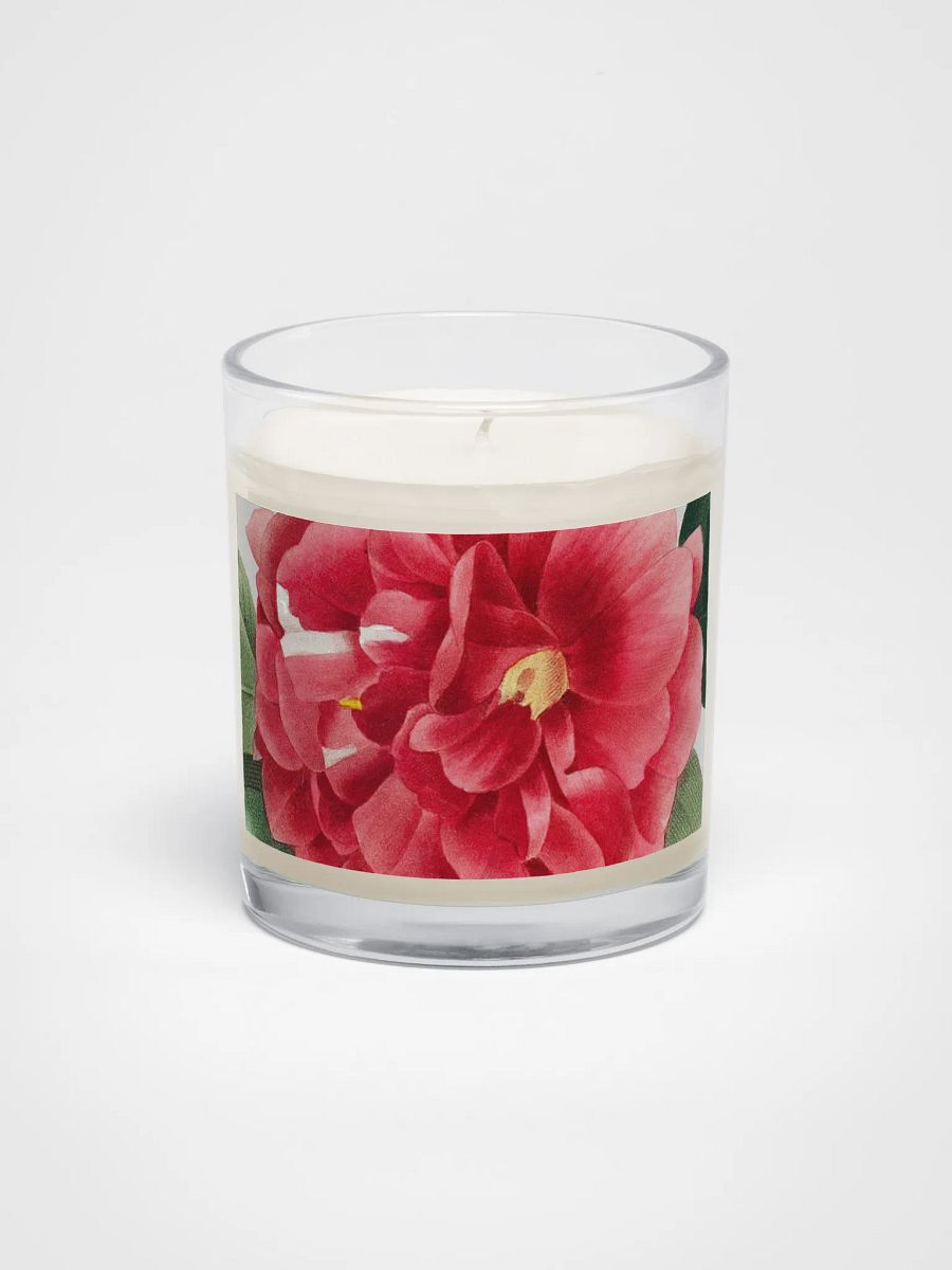 beaux fruits. Soy Wax Candle product image (3)