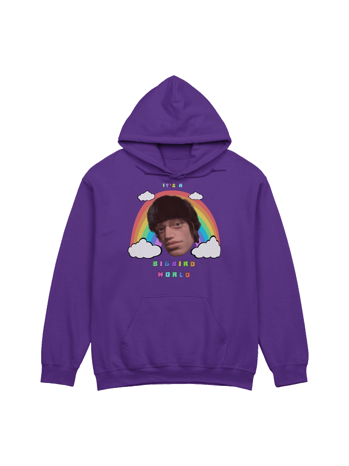 "IT'S A BIGBIRDWORLD" HOODIE product image (1)