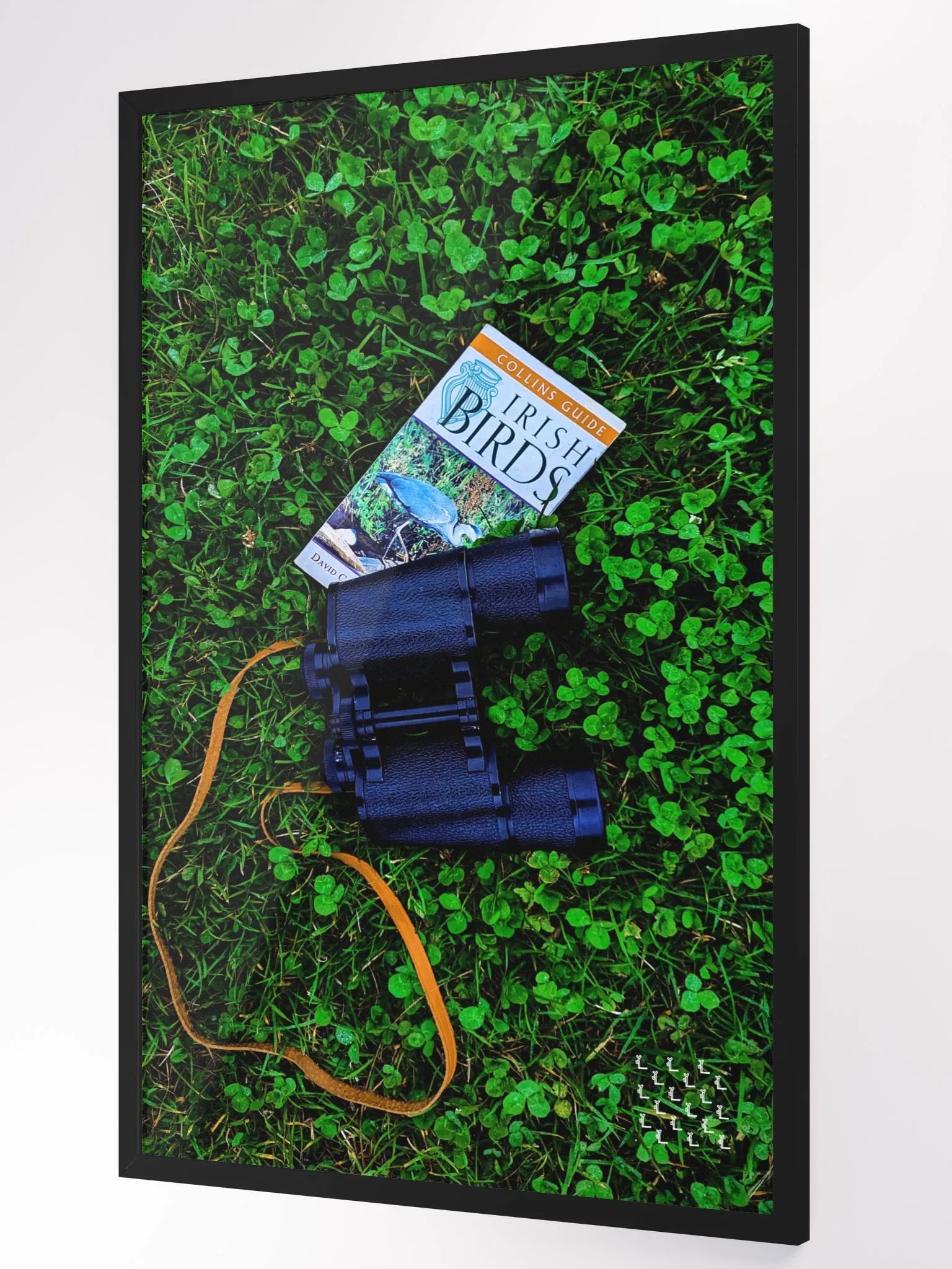 Birdwatching at Blackrock - Framed Print product image (3)