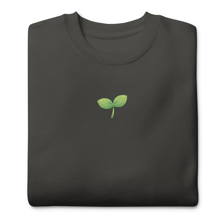 Sprout Embroidered Comfy Sweatshirt product image (5)