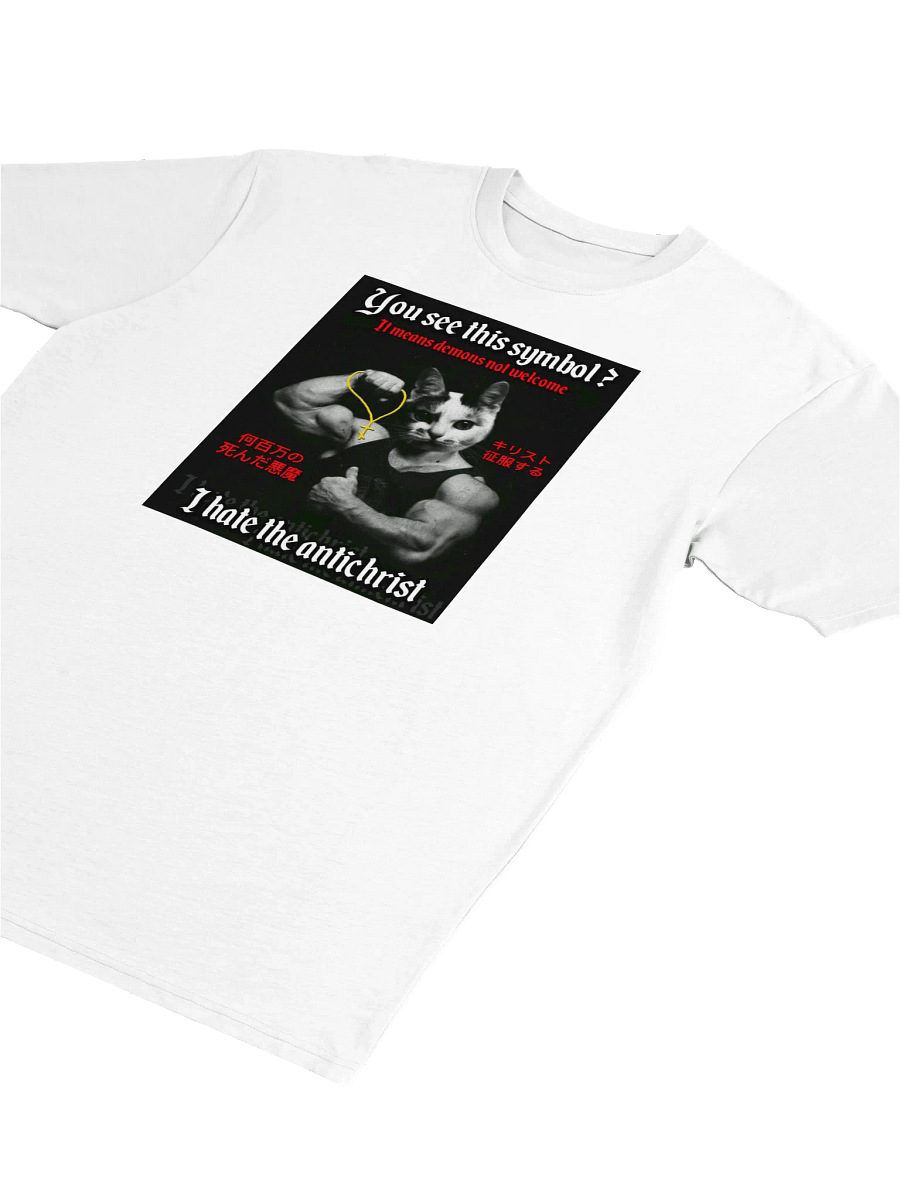 Demons Not Welcome - T Shirt (Heavyweight) product image (31)