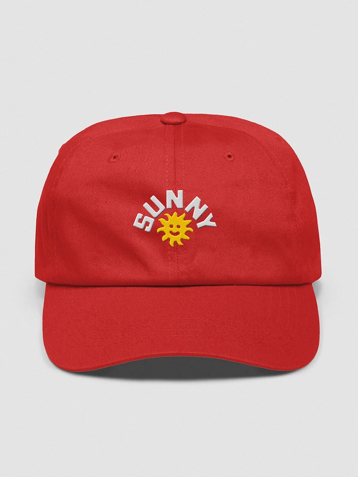 Sunny Hat product image (1)