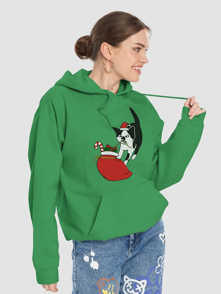 Santa Paws Christmas Cat Hoodie product image (34)