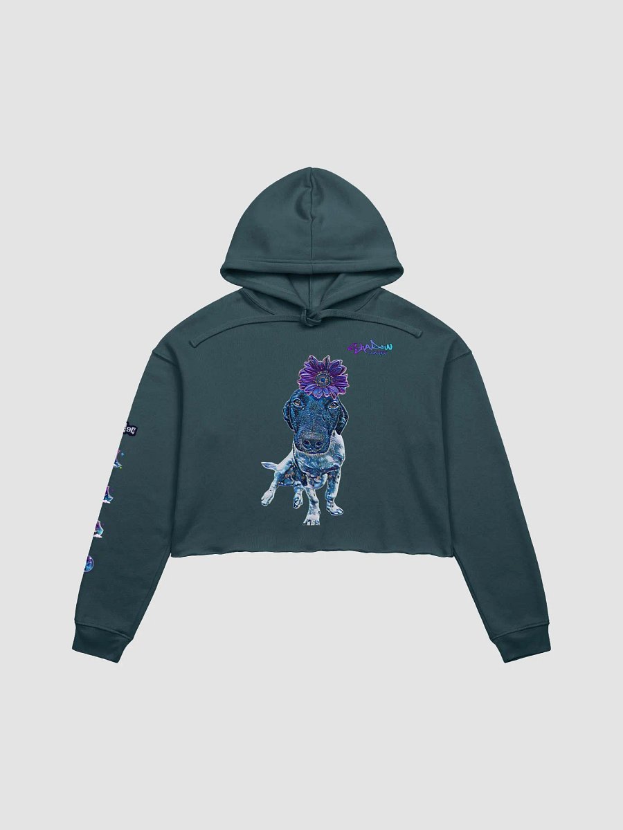Cropped Galaxy Alfie Hoodie product image (2)