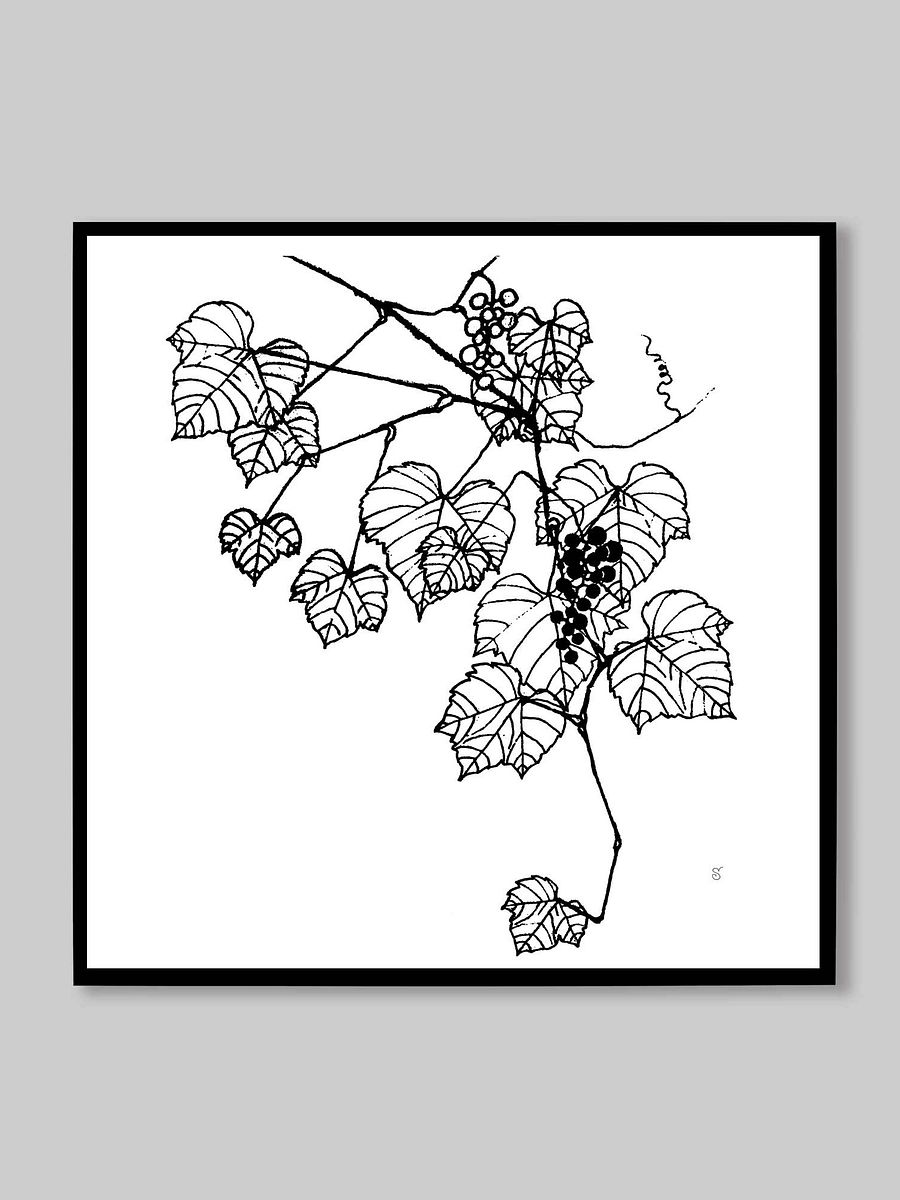 Grapevine Dreams Canvas Print - Grape Leaves Stylish product image (9)
