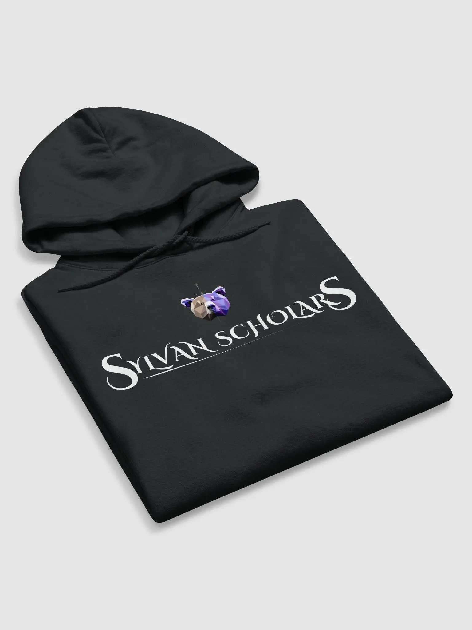 SylvanScholar Hoodie Regular product image (5)