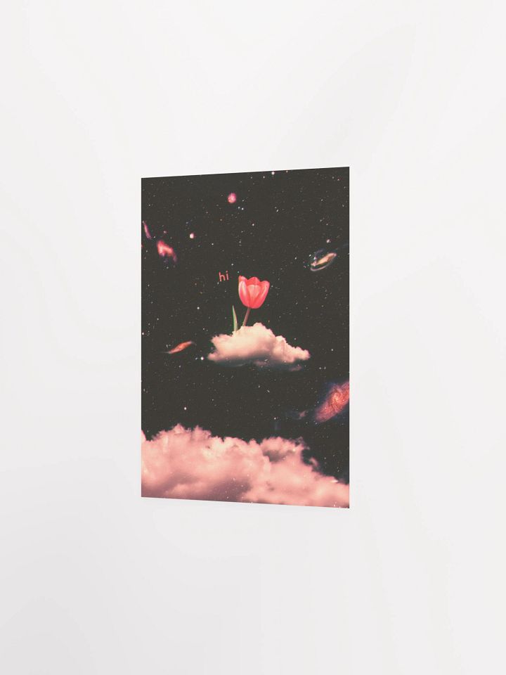 hi product image (7)