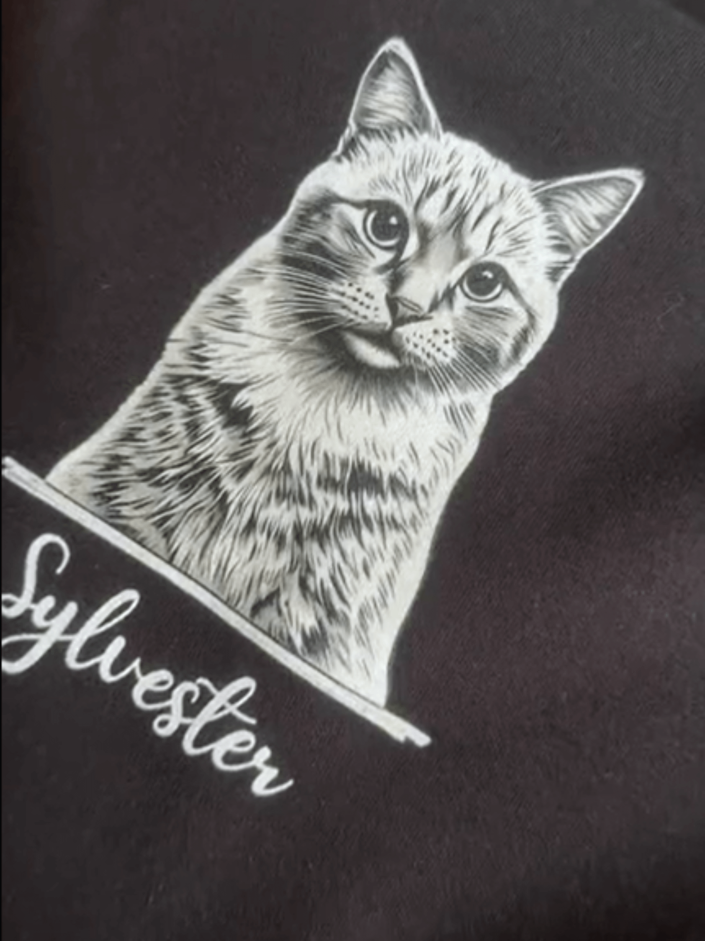 SYLVESTER 💙 / PRINTED HOODIE product image (2)