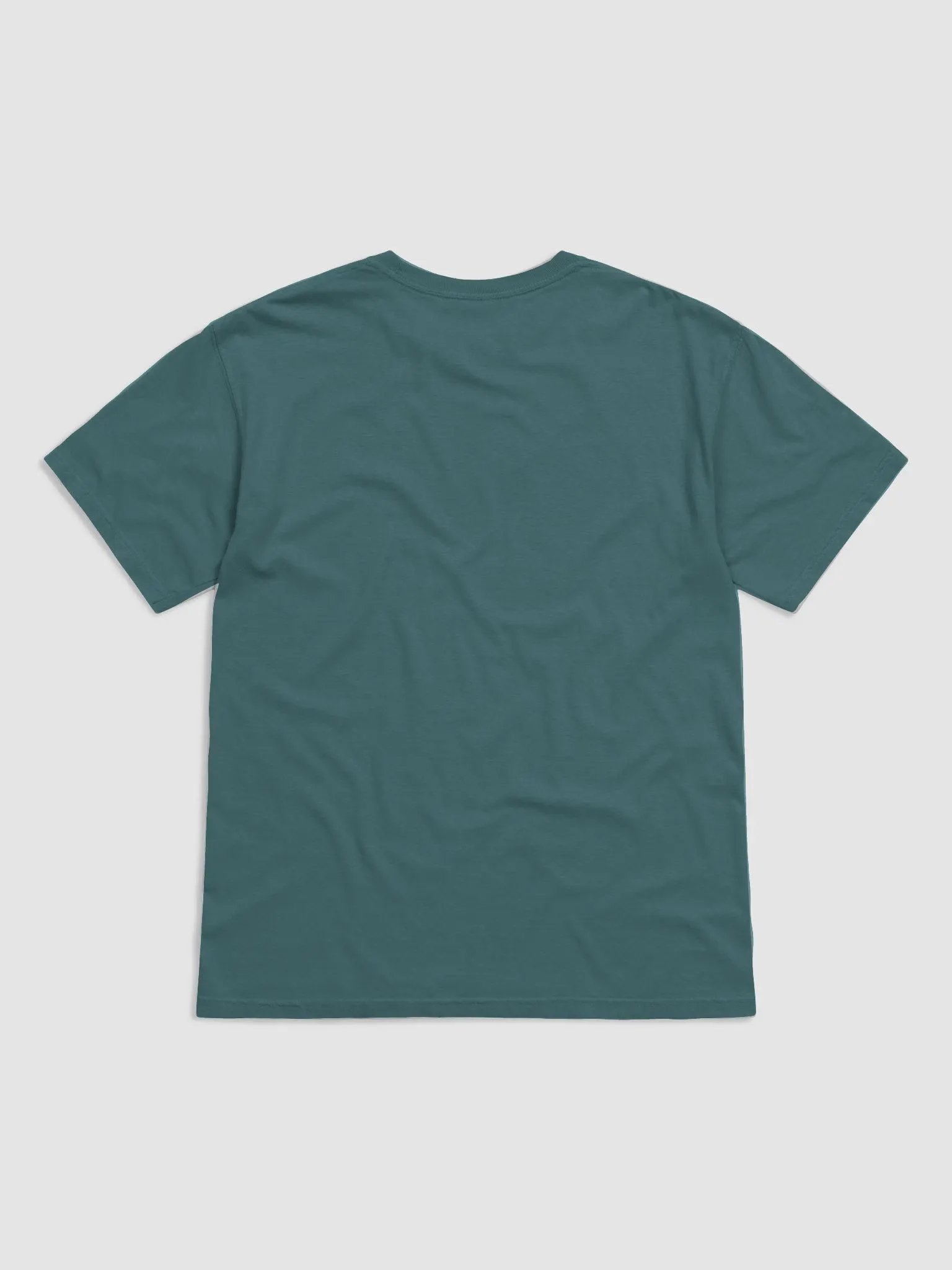 UNFIT BRAND FTW Heavyweight T-Shirt product image (8)