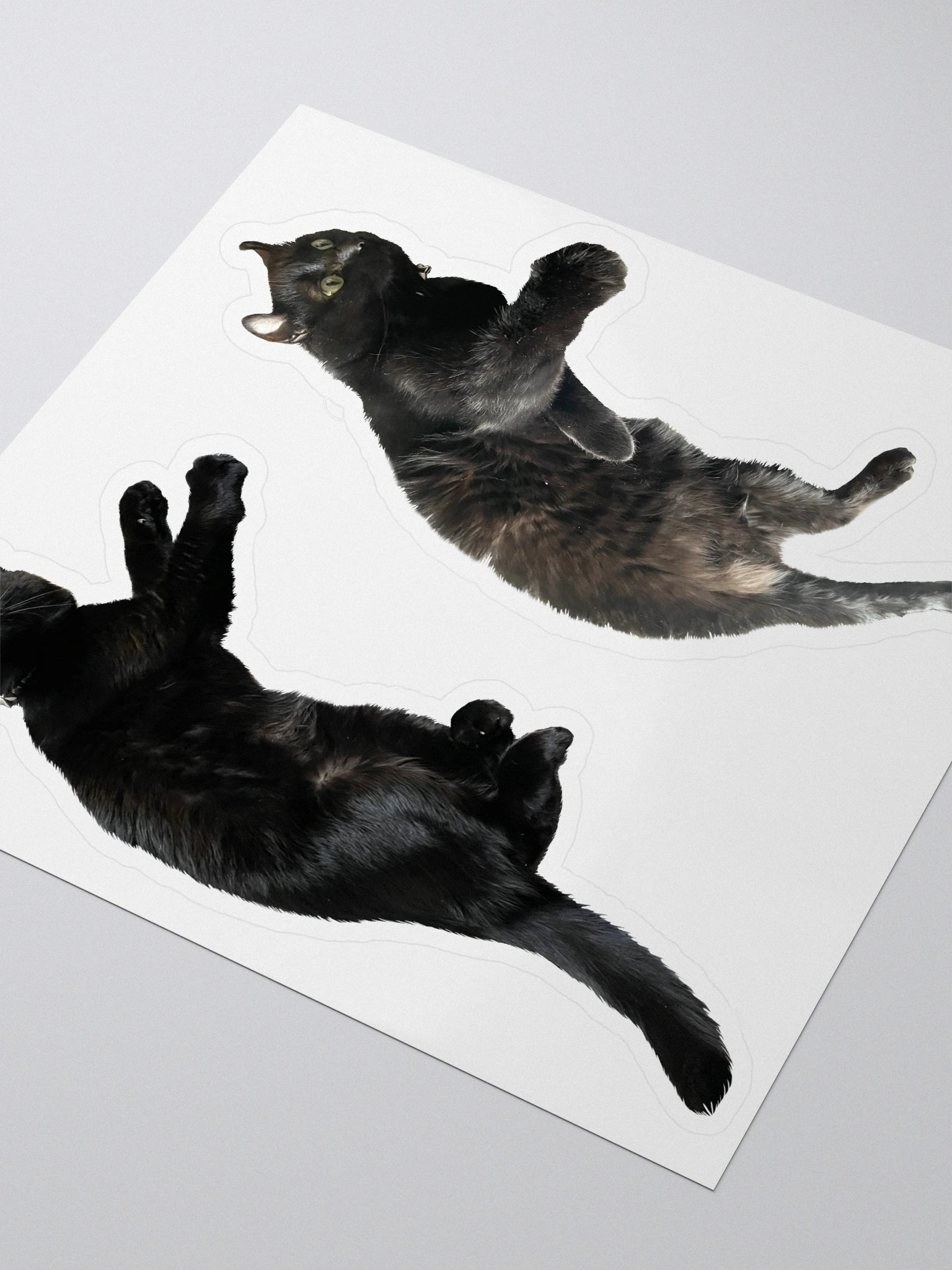 Double Dees product image (3)