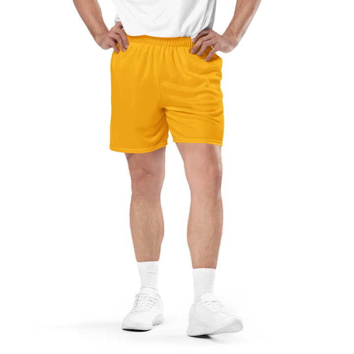 Plain Color Amber Mesh Shorts product image (1)