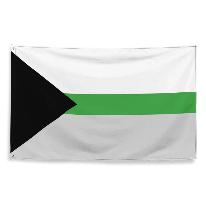 Demiromantic Flag product image (2)