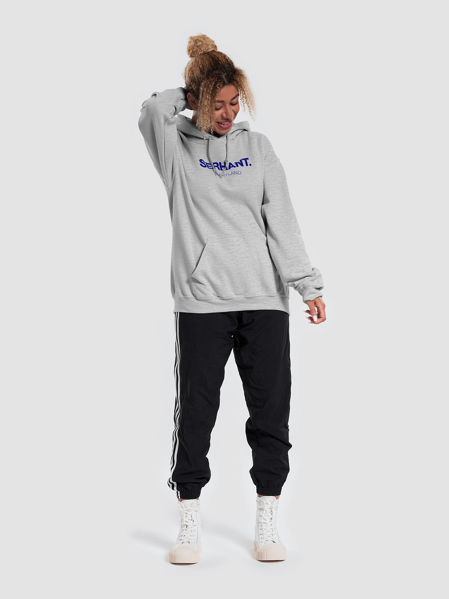 SERHANT. Maryland Grey Hoodie product image (5)