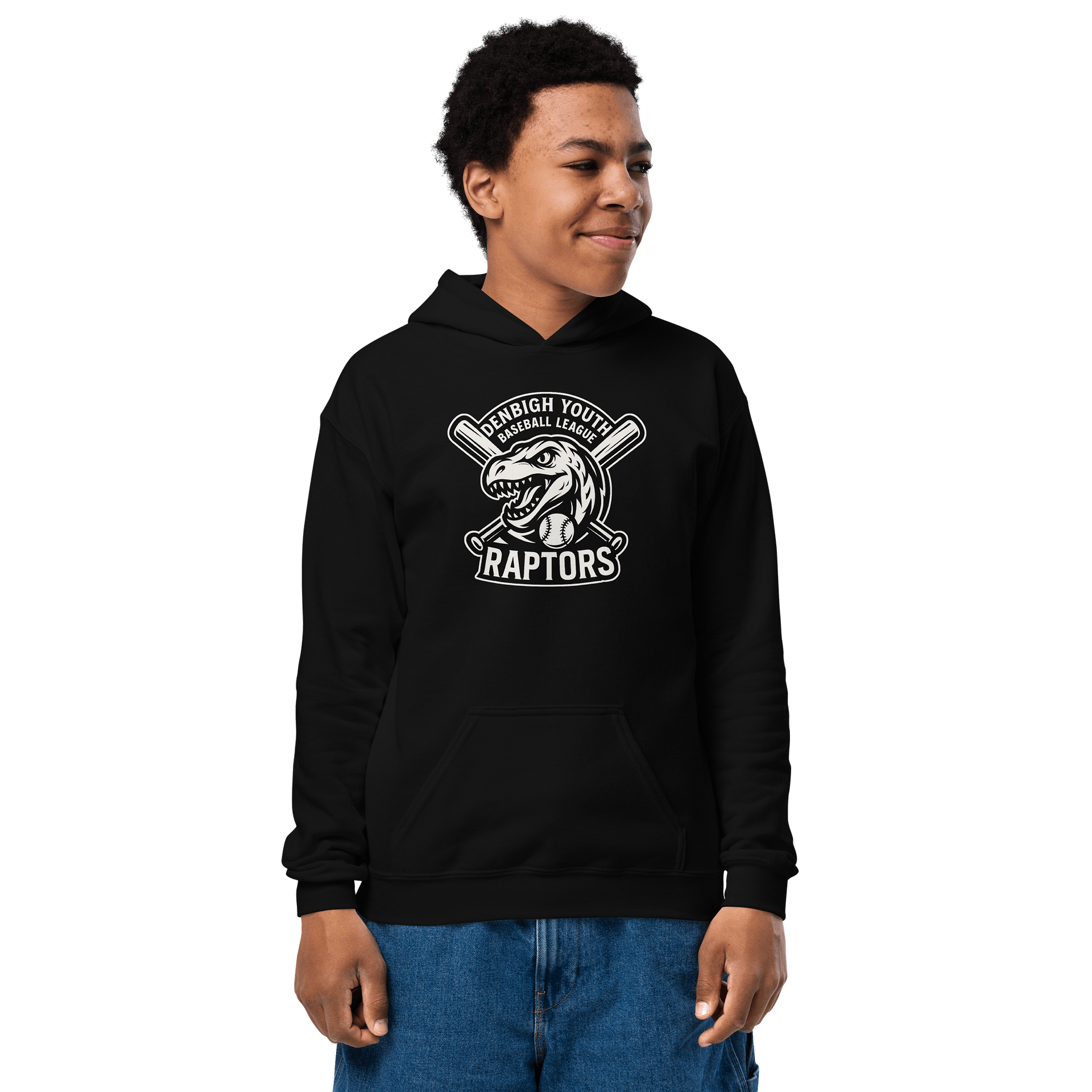 Raptor Logo Youth Baseball Hoodie product image (1)