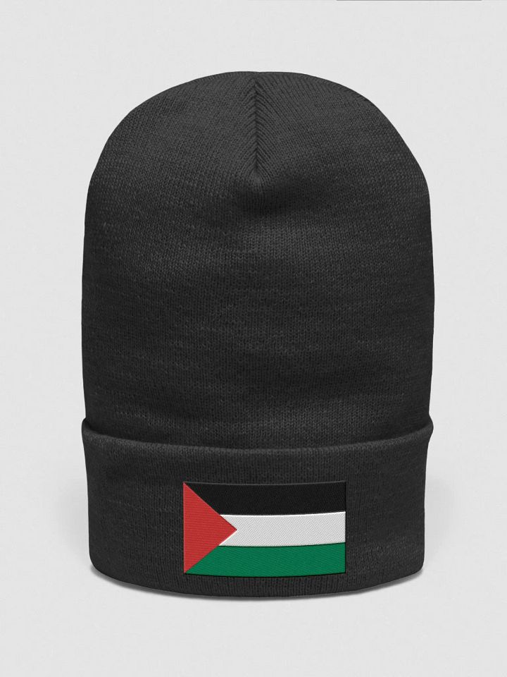 Palestine - Yupoong Cuffed Beanie product image (1)
