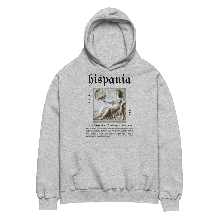 Sudadera con capucha gris - Laus Hispaniae product image (2)