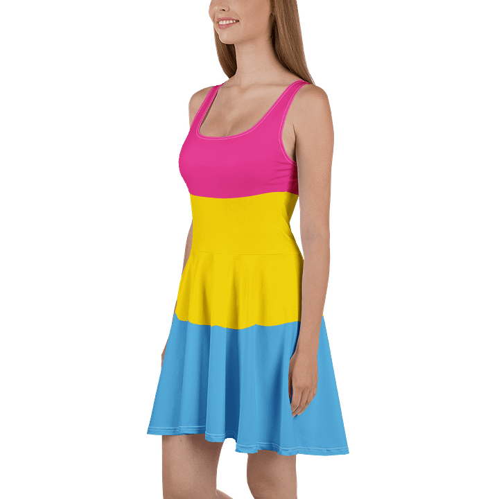 Pansexual Pride Flag Skater Dress product image (1)