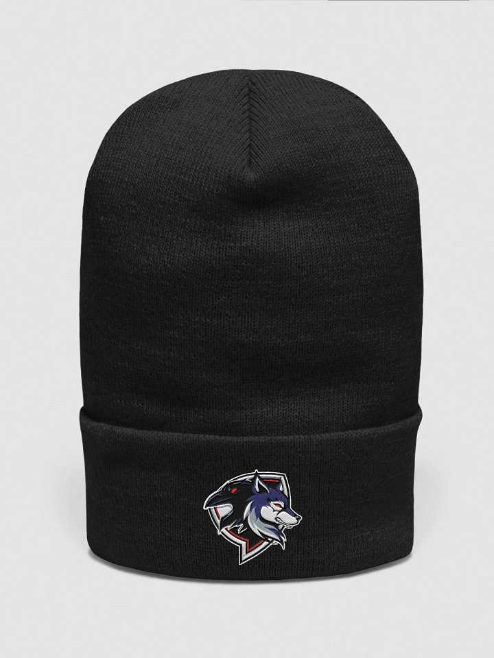 Raven Logo Beanie product image (2)