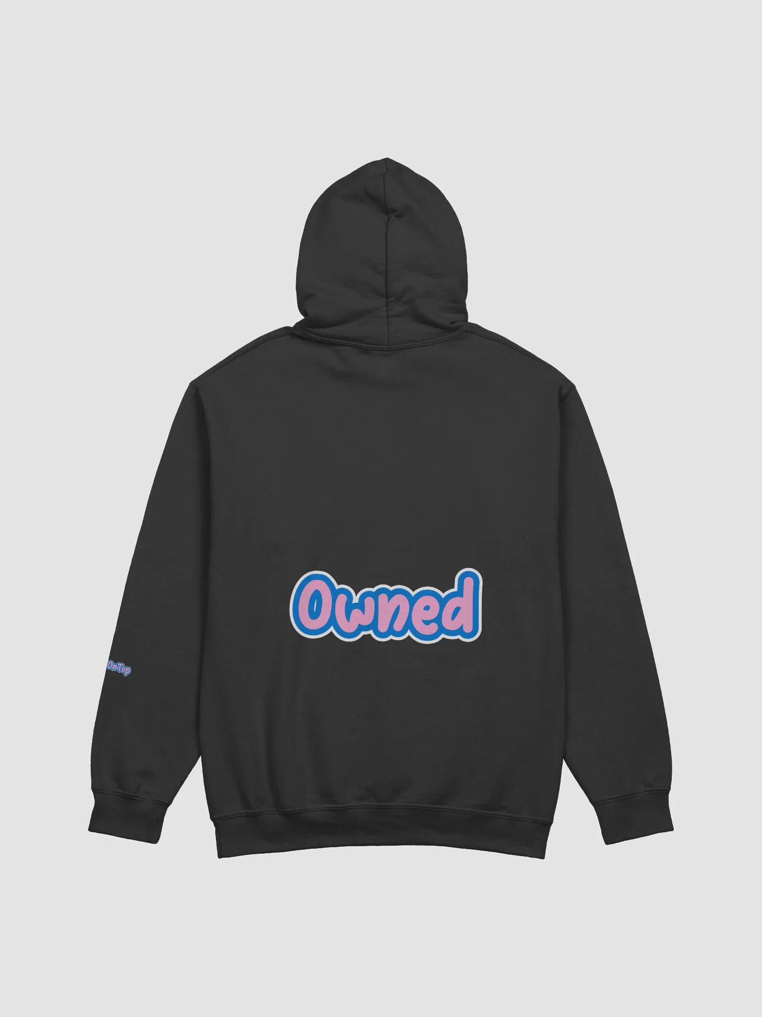Luna's Paypig Hoodie product image (4)