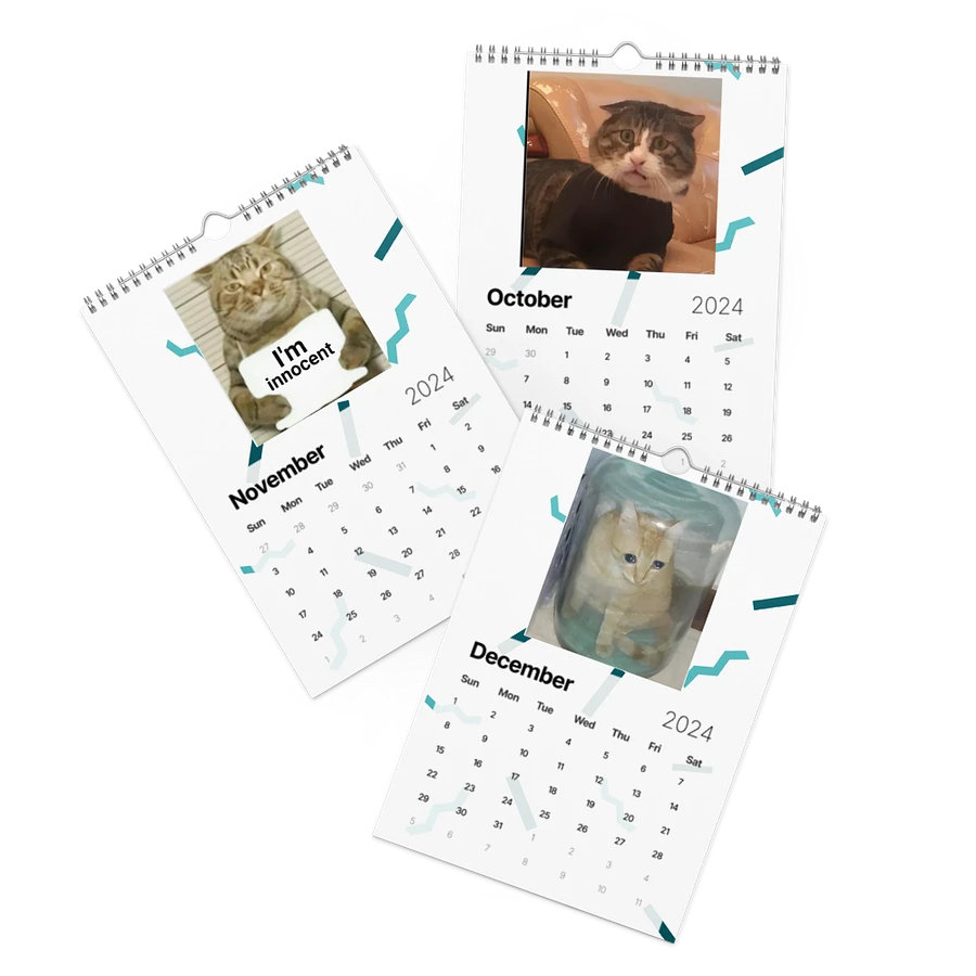 Wall Calendar (2024): Meme Cats product image (17)