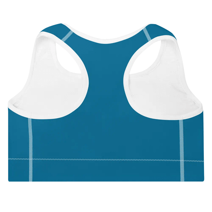 The Bonesdale Bra product image (2)