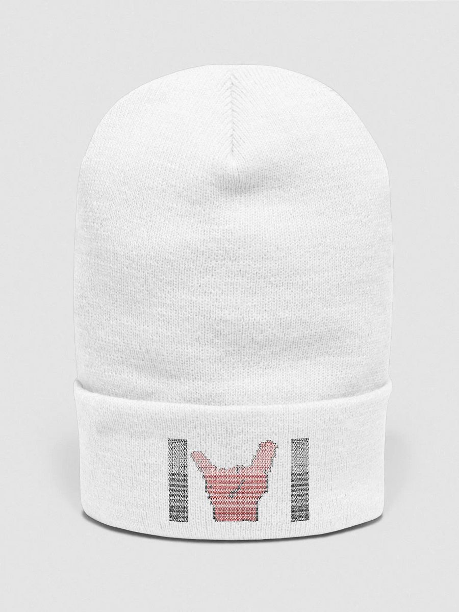 TDI Beanie product image (2)