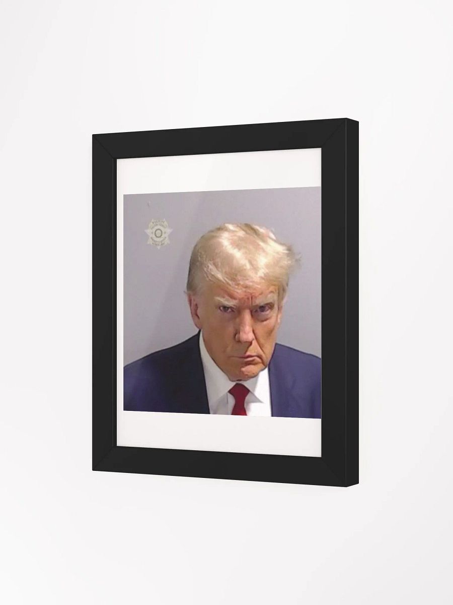 Framed FAFO Mugshot product image (26)