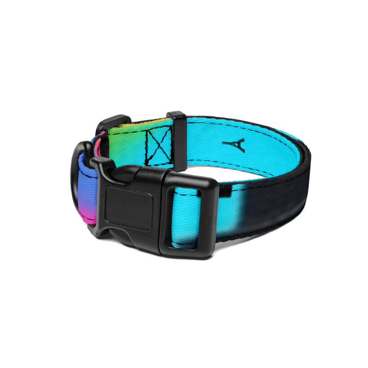 EIFFEL PARIS • PET COLLAR 3 SIZES product image (1)