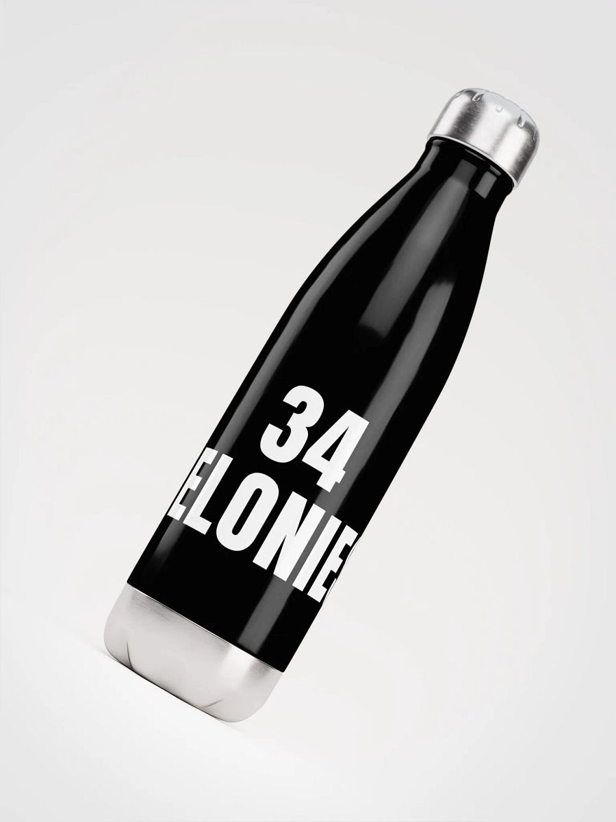 Pris-34 FELONIES -Stainless Steel Water Bottle product image (4)