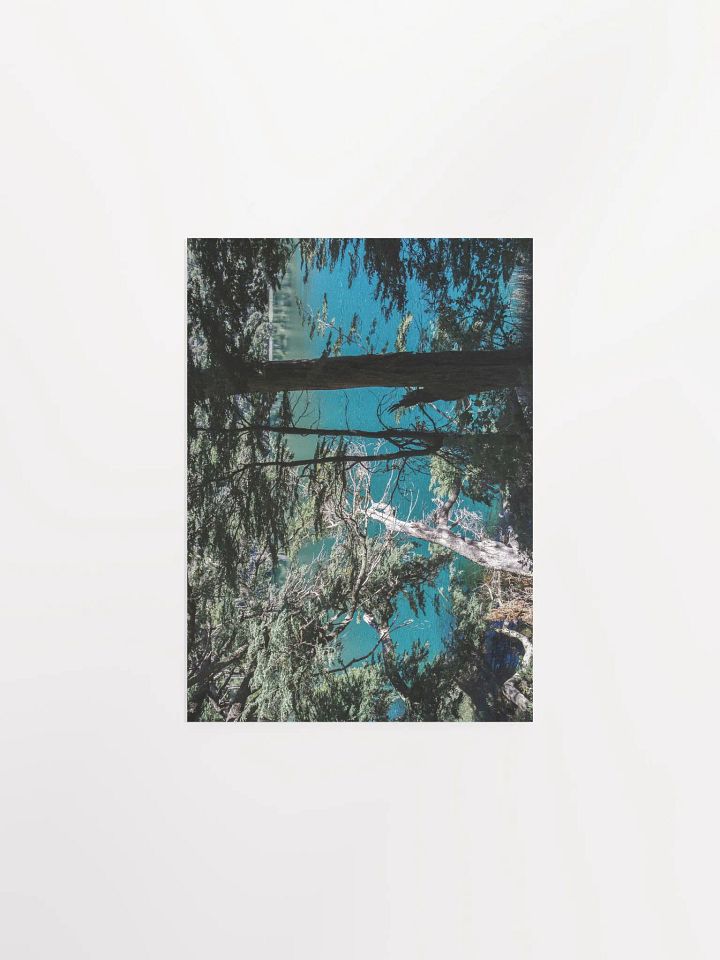Lago Espejo Patagonia - Enhanced Matte Paper Poster product image (2)