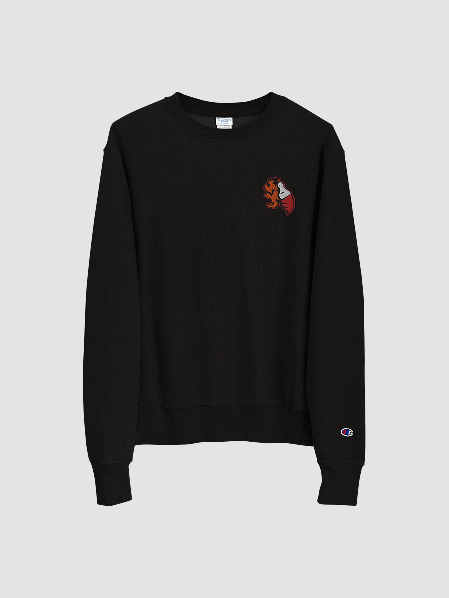 Foundations Molotov Embroidered Champion Sweatshirt product image (2)