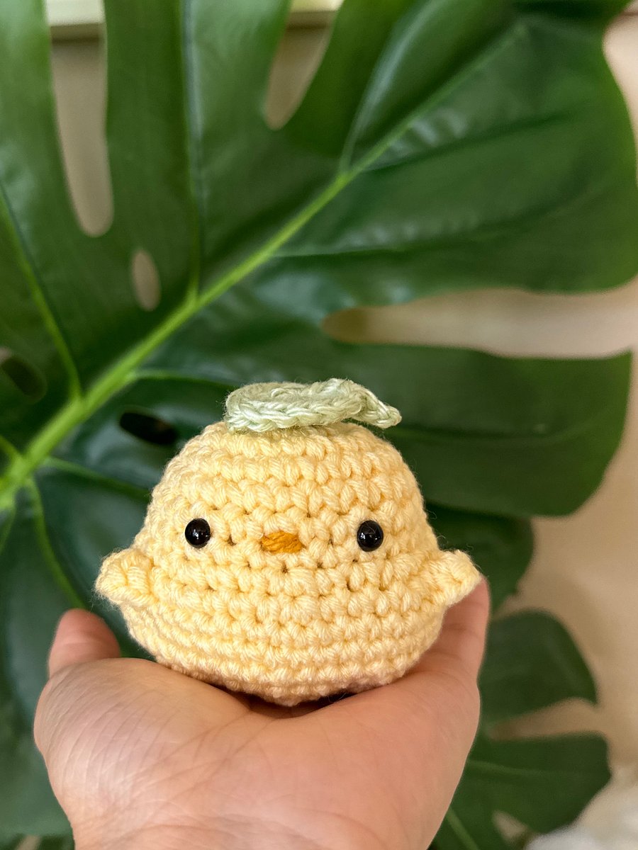Jumbo Chacco [PRE-ORDER] product image (5)
