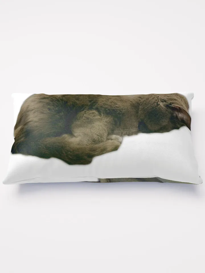 Smokey & Zoey Sleepy Pillow product image (1)