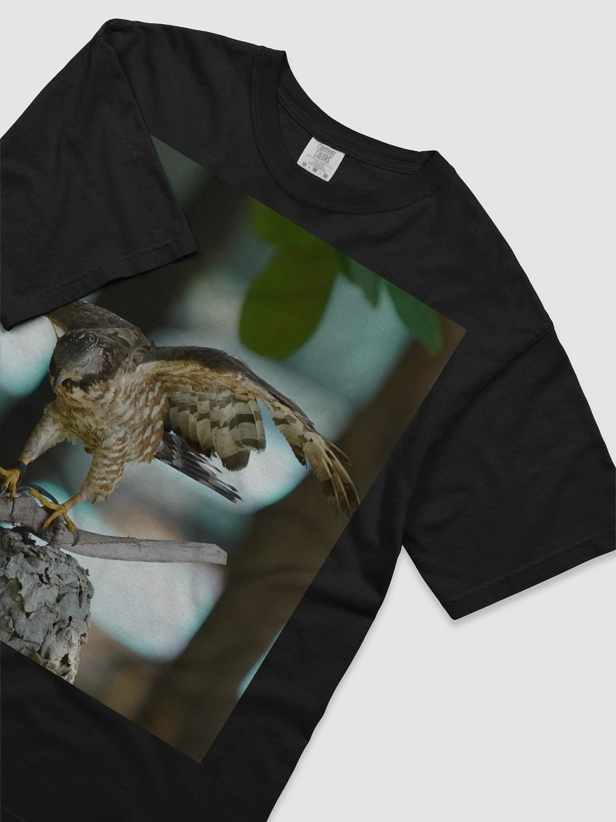 Majestic Falcon Relaxed Fit T-Shirt product image (3)