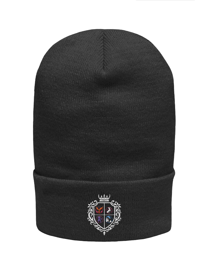 Dezcimator black beanie product image (1)